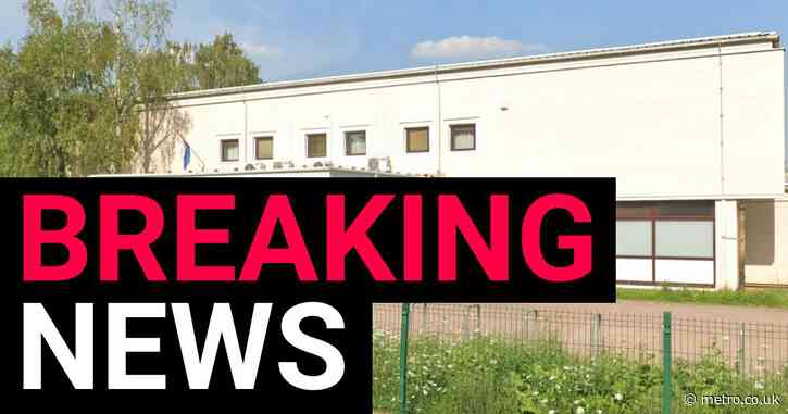 Multiple children and adults stabbed during knife rampage at school