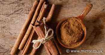 Gardeners should sprinkle cinnamon on garden in December for important reason