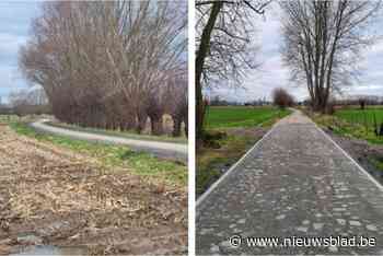 Romeinse heirweg in ere hersteld bij heraanleg van Waaitjesstraat