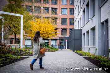 Binnenplein administratief centrum Den Bell krijgt 4.500 vierkante meter extra groen: “Gezellige plek voor bezoekers, buurtbewoners en stadsmedewerkers”