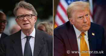 Peter Mandelson: Why Britain has picked the 'Prince of Darkness' to be its 'Trump Whisperer'