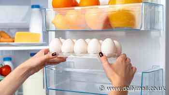 You've been storing your eggs wrong! Experts reveal the correct place to keep them - and it's NOT in the fridge door