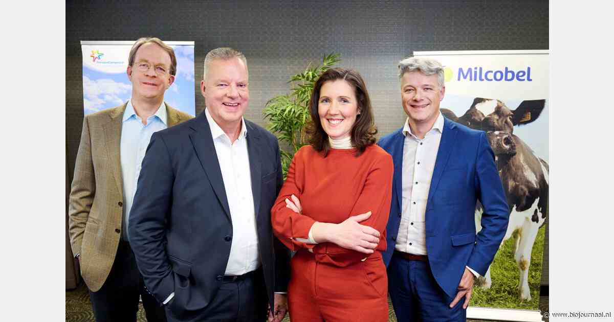 FrieslandCampina en Milcobel kondigen intentie tot fusie aan