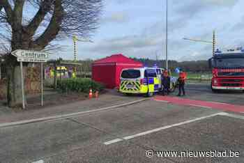 Fietsster (81) overleden na zware botsing met personenwagen in Neerpelt