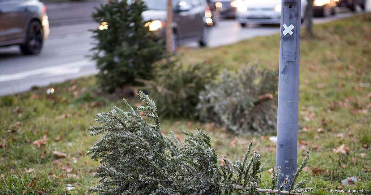 Erlangen: Christbaum-Abholung und Müllabfuhr-Termine - das gilt zum Jahreswechsel