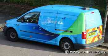 British Gas customers to get £28 a month back after removing daily charge