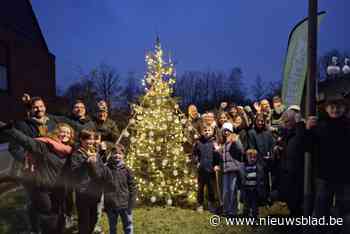 Na maandenlang knutselen: wijk Gamster-Hoek presenteert mooiste kerstboom