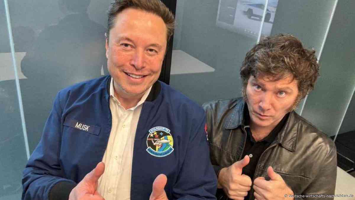 AfD-Fan Elon Musk sorgt für Unruhe im deutschen Wahlkampf