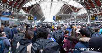 Do trains and buses run on Christmas Eve and Christmas Day? Full timetable updates