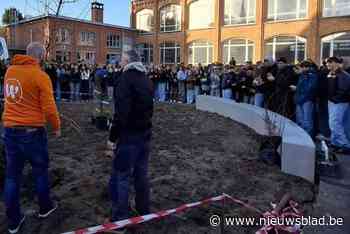 School plant eerste boom voor klimaatgezonde speelplaats