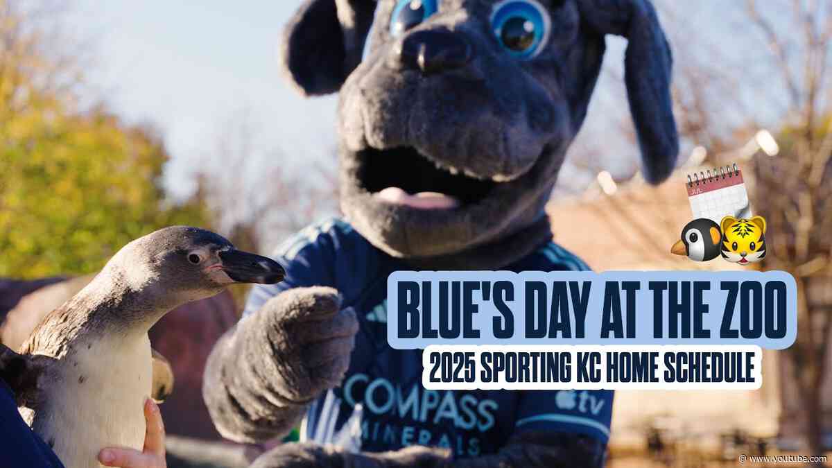 2025 Sporting KC Home Schedule | Blue's Day at the Zoo