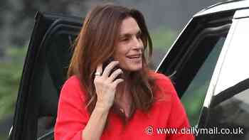 Cindy Crawford proves she is no diva as she drives herself to do her own grocery shopping in Malibu