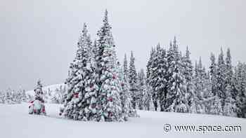 Dreaming of a white Christmas? Snow is likely in these US states according to NOAA climate data