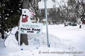 Decorated trees chopped down after ‘conflict’ with snow-clearing contractor