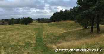 Sunderland City Council submits plans for 'cycle hub' at Elemore Country Park