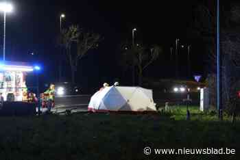 Bestuurder op slag dood na crash tegen boordsteen