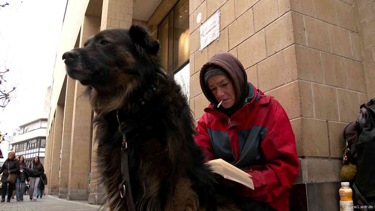 Kein Platz in Unterkünften für Odachlose und ihre Hunde