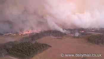 Grampians National Park: Aussies told to 'leave now' as out-of-control bushfires rip through national park