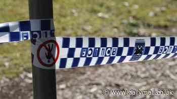 Horror as female police officer is allegedly attacked with a sword while responding to a 'domestic disturbance' at a home in Port Augusta