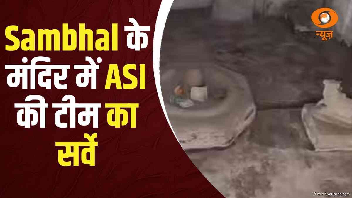 Sambhal के कल्कि मंदिर में ASI की टीम का सर्वे का काम जारी और अन्य बड़ी खबरे | Samachar