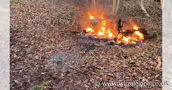 Scooter set on fire in Wirral woodland