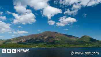 Work starts to bring back lost rainforest to fell