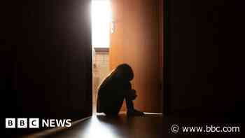 School abuse allegations 'rising weekly'