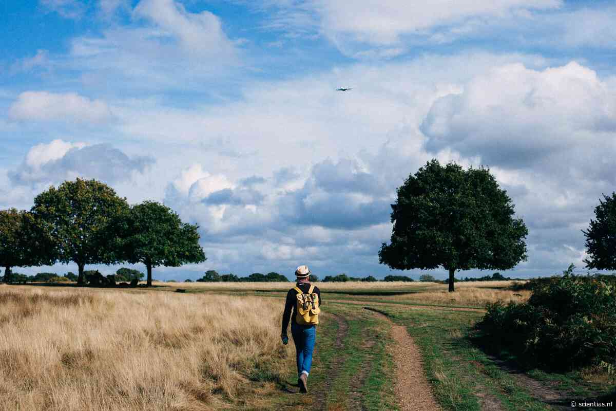 Groot onderzoek toont aan: dit aantal stappen is genoeg voor een betere stemming