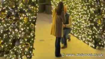 Moment couple's romantic Christmas proposal video was ruined by VERY unwelcome visitor