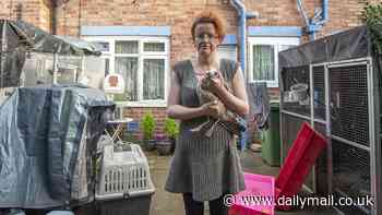 Woman who keeps HUNDREDS of pigeons and seagulls in her home is at war with neighbours who say she has made their lives a 'nightmare'