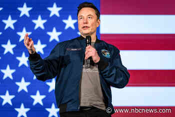 Elon Musk's meetings with foreign leaders alongside Trump alarm Washington insiders