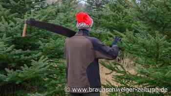 Last-Minute-Weihnachtsbaum? Die Verkaufsstellen in Wolfenbüttel