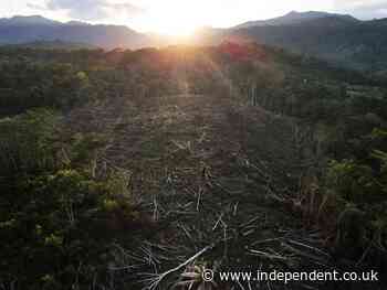 Their ancestral rainforest was ‘stolen’. Now Amazon community is fighting back – and winning