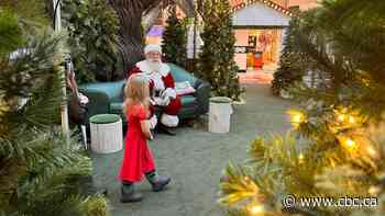 Is it too expensive to go see Santa at the mall? This Ontario mom thinks so