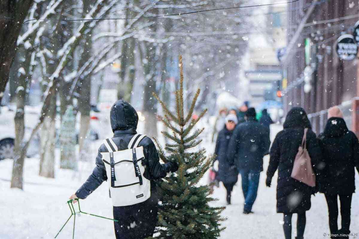 Vandaag de kortste dag van het jaar: voor de oude Germanen al de ideale dag om de kerstboom neer te zetten