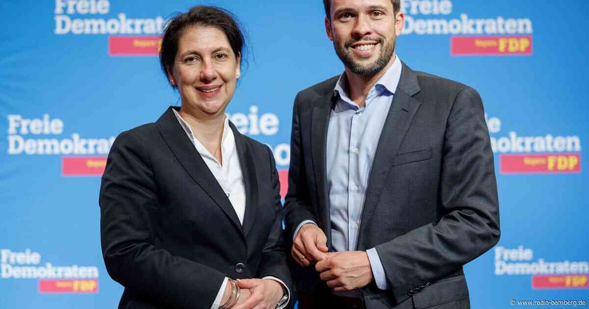 Bayern-FDP will mit Hagen und Hessel in den Bundestag