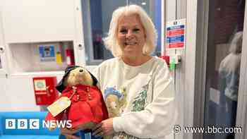 Paddington superfan backs campaign for town bear statue