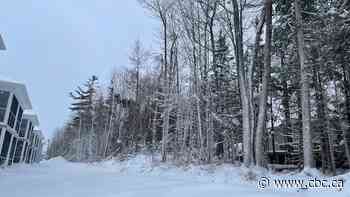 Winter storm warning still in effect for Moncton after snow blankets parts of N.B. overnight