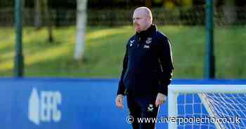 What Friedkin Group told Everton players in first meeting with Sean Dyche's squad