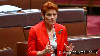 Pauline Hanson suffers MAJOR blow in NSW - as the last remaining One Nation member resigns