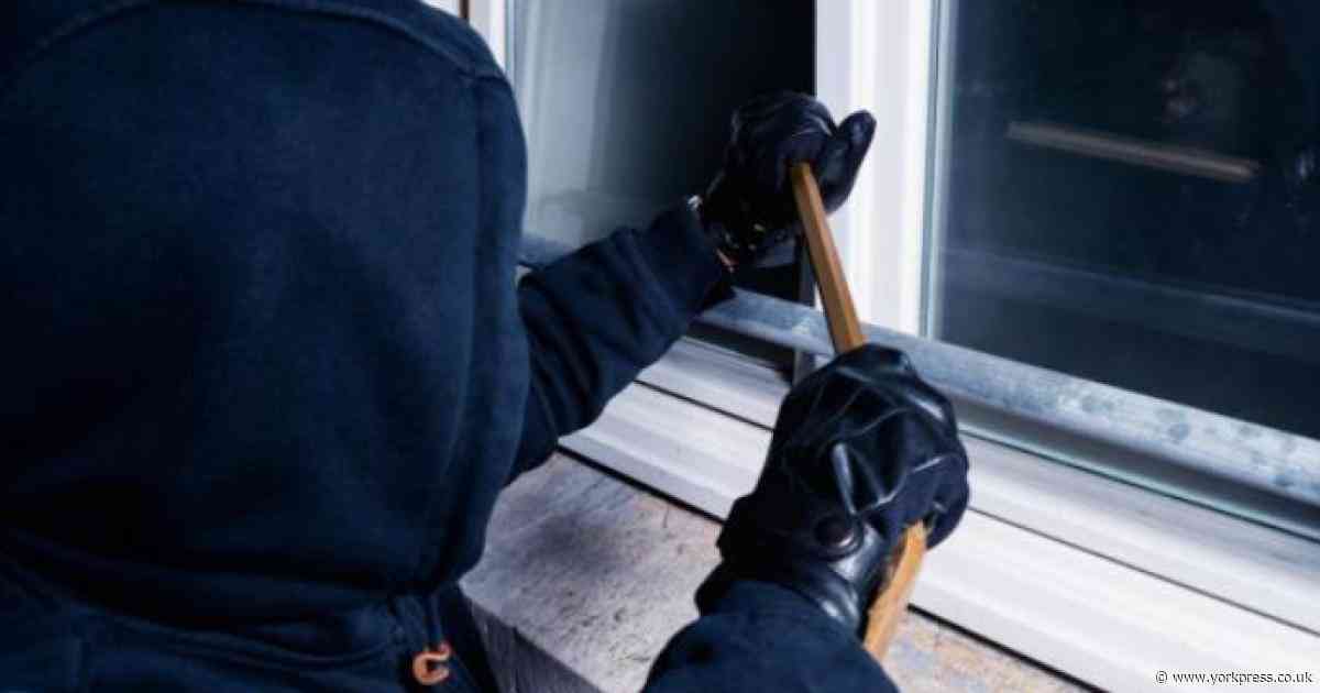 North Yorkshire sees major police crackdown against festive burglars