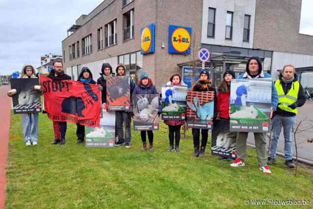 Actie tegen verkoop van konijnenvlees bij Lidl in Bilzen: “Bijna 25 procent sterft nog voor ze het slachthuis bereiken”