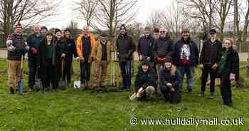 Humber Forest plant hundreds of trees at Driffield Showground