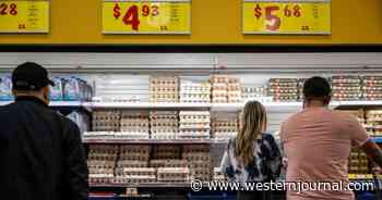 State Restricts Egg Sales as Prices Continue to Climb