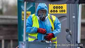 Bird flu outbreak hits Britain's turkey farms as tens of thousands are culled and rest ordered to be kept indoors days before Christmas