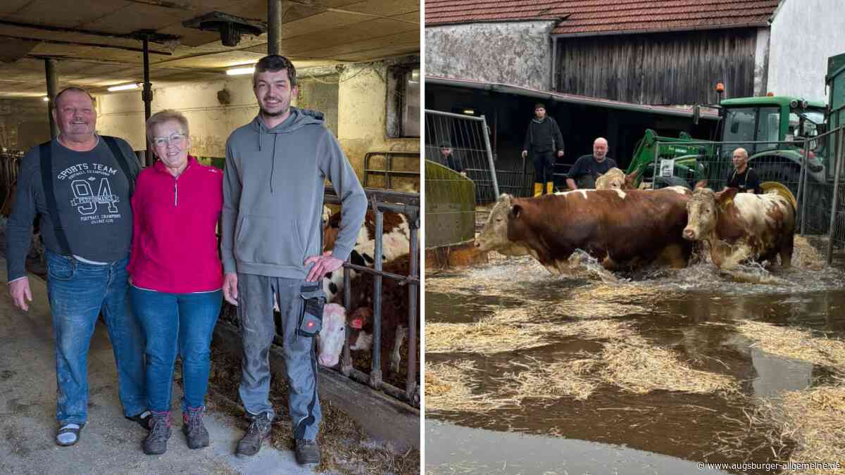 Sie retteten 100 Kälber: Was sich diese Hochwasseropfer zu Weihnachten wünschen