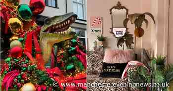 The best Christmas decor from homes in and around Greater Manchester - from dinosaurs to giant disco baubles