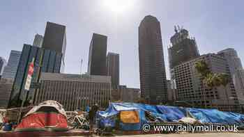 America's decaying downtowns where vultures circle zombie office buildings and locals are scared to venture