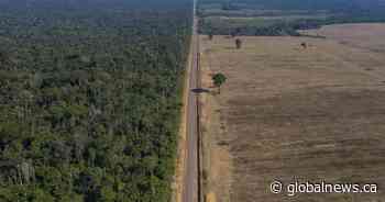 38 people die in a crash between a passenger bus and a truck in Brazil