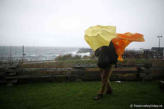 Environment Canada issues warnings as more high winds expected along B.C. coast